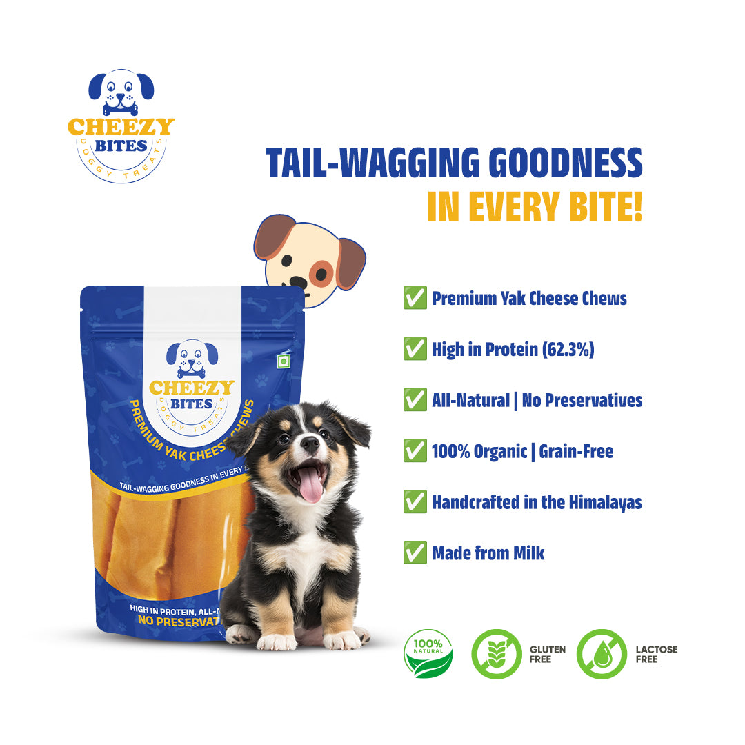 Cheezy Bites Doggy Treats –  (2.2lb)