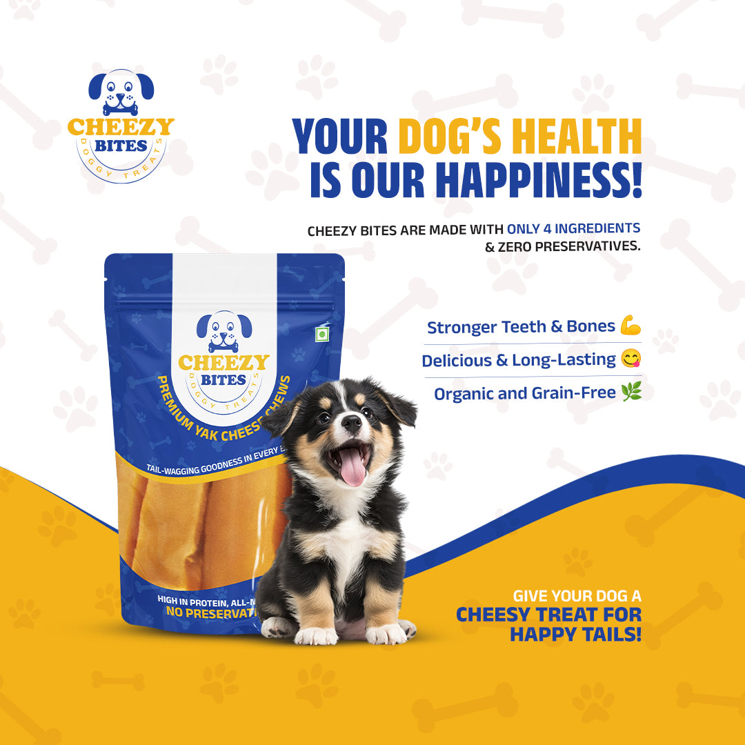 Cheezy Bites Doggy Treats (1.1lb)