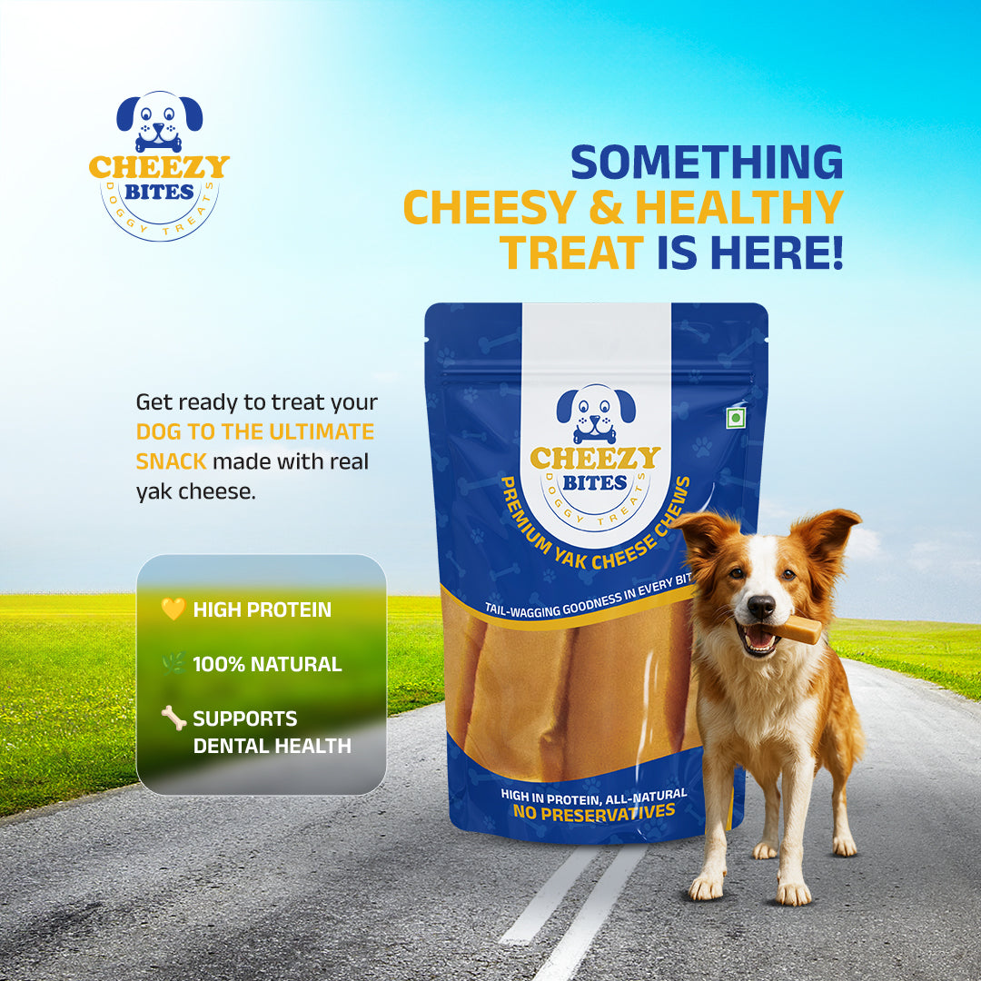 Cheezy Bites Doggy Treats (1.1lb)